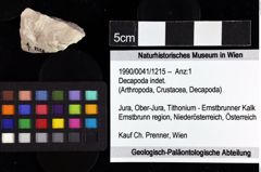 Foto (Objket + Etiketten) von Decapoda indet. 